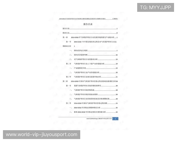 赛季中期表现评估报告